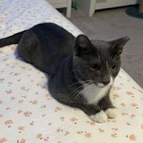 Thumbnail photo of Rhonda #3