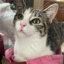 Thumbnail photo of Madi #1