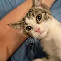 Thumbnail photo of Madi #2