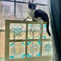 Thumbnail photo of Madi #3