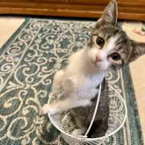 Thumbnail photo of Madi #4