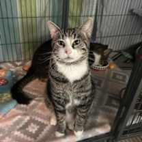 Thumbnail photo of Grant #2