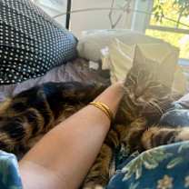 Thumbnail photo of Rue #4