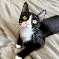 Thumbnail photo of Maggie #1