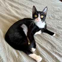 Thumbnail photo of Maggie #2