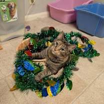 Thumbnail photo of Tippy Hedrick #2