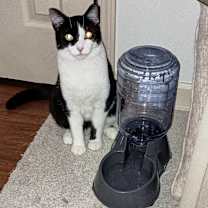 Thumbnail photo of Fudgsicle #3