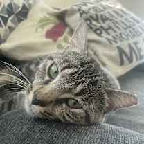 Thumbnail photo of Mance #1