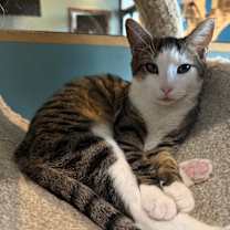 Thumbnail photo of Abrielle #1