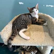 Thumbnail photo of Abrielle #3