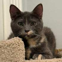 Thumbnail photo of Janet Wood #2