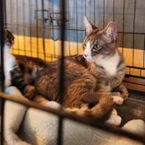 Thumbnail photo of James #1