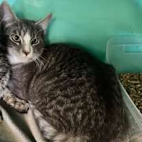 Thumbnail photo of James #2