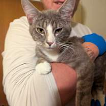 Thumbnail photo of James #3