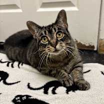 Thumbnail photo of Milly #3