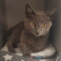 Thumbnail photo of Carrie #2