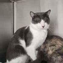 Thumbnail photo of Light #1