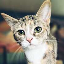 Thumbnail photo of Fuzzy #1