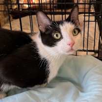 Thumbnail photo of Mandy #1