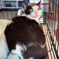 Thumbnail photo of Mandy #3