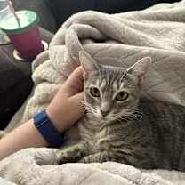 Thumbnail photo of Moony #2