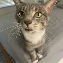 Thumbnail photo of Basil #1