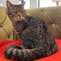 Thumbnail photo of Max #1