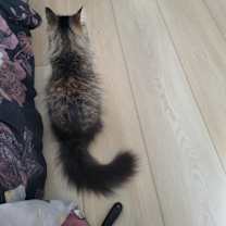 Thumbnail photo of Alana #2