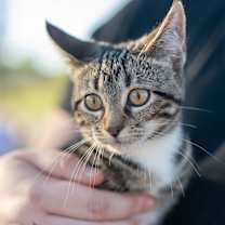 Thumbnail photo of Marsha #3