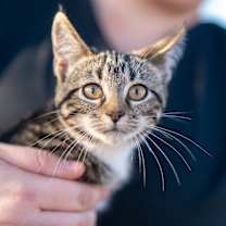 Thumbnail photo of Marsha #4