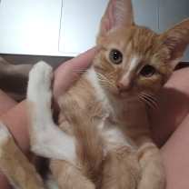 Thumbnail photo of Xavier #4