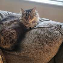 Thumbnail photo of Alana #4