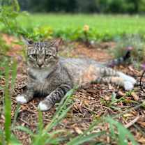 Thumbnail photo of Hazy-Courtesy Post #4