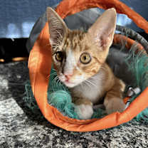 Thumbnail photo of Kenny #1