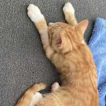 Thumbnail photo of Kenny #2