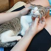 Thumbnail photo of February #3