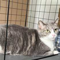 Thumbnail photo of Lily #1