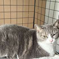 Thumbnail photo of Lily #3