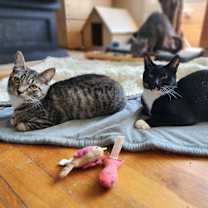 Thumbnail photo of Quiver #2