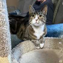 Thumbnail photo of Cassidy #2