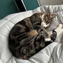 Thumbnail photo of Cassidy #3