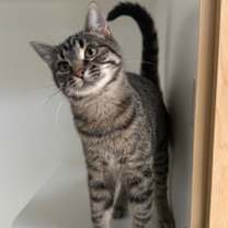 Thumbnail photo of Bryce #1