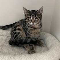 Thumbnail photo of Bryce #2