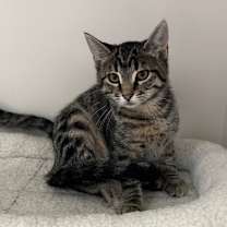 Thumbnail photo of Bryce #3