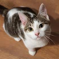 Thumbnail photo of Lorraine #1