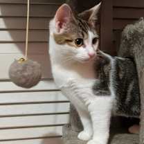 Thumbnail photo of Lorraine #3