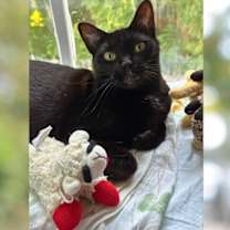 Thumbnail photo of Lil' Bit (Jen's) #1