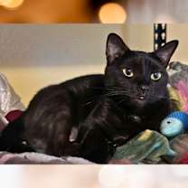 Thumbnail photo of Lil' Bit (Jen's) #2