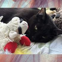 Thumbnail photo of Lil' Bit (Jen's) #3