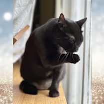 Thumbnail photo of Lil' Bit (Jen's) #4